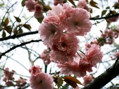 -渤公岛生态公园
