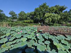 -上海市保健医疗中心