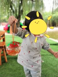 -上美四季动物农场