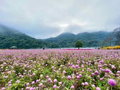 -广州市石门国家森林公园