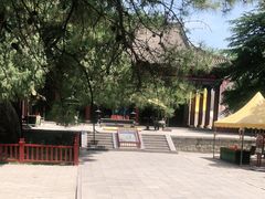 -黄帝陵