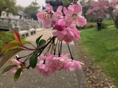 -江南大学(蠡湖校区)