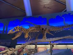 -贝林大翅鲸简餐厅(国家海洋博物馆店)