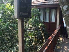 亚龙湾人间天堂-鸟巢度假村-三亚亚龙湾人间天堂鸟巢度假村