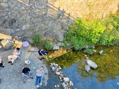 -北仑森林植物园