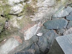 -达蓬山旅游度假区