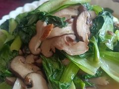-柘林湖生态鱼馆