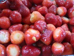 -老炳·七丛松甘草水果