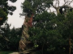 -司徒庙