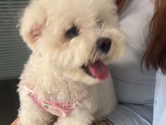 -瑞派福兴宠物医院犬猫全科·骨科·中西医结合(河东店)