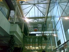 天窗-绿色时代大酒店