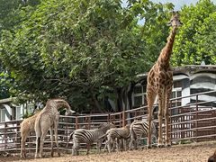 -大连森林动物园