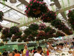 -广州花之恋城堡酒店