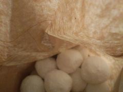 -稻香村金沟河第33营业部