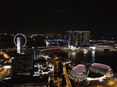 史丹福瑞士酒店-新加坡瑞士史丹福酒店