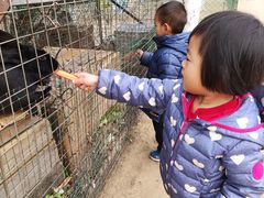 -草根堂农场