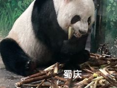 -柳州市动物园