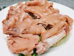 -丁老爷子苏香圆