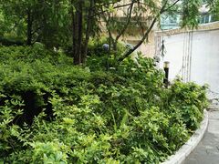 -云南省图书馆