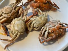 -圣罗巴海鲜烤肉自助(佳兆业店)
