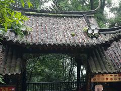 -九寨沟-树正沟