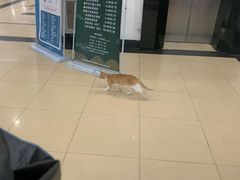 -东华大学第一食堂(松江校区店)