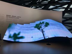 -深圳市当代艺术与城市规划馆