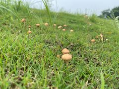 -盘龙城国家考古遗址公园