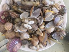 -港畔赶海蒸汽海鲜烧烤自助(仙螺岛店)