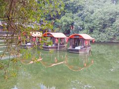 -侨美·唐荔园·40年地道粤菜