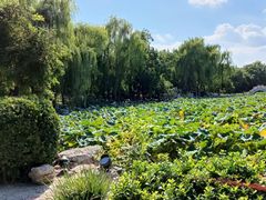 -莲池书院博物馆