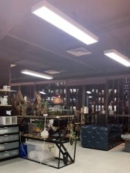 -周忆刺青原创设计定制