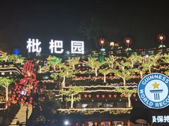 -枇杷园食为鲜火锅(南山店)