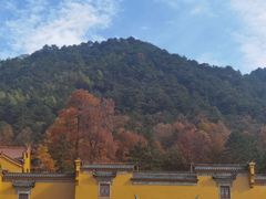 -九华山风景区
