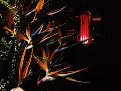 -花马天堂云南餐厅 Lost Heaven(高邮路店)