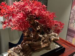 -顺峰(农展馆店)