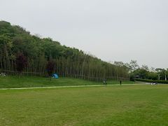 -羊山湖公园