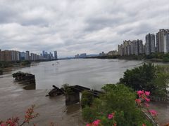 -福道