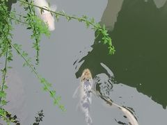 -张家港凤凰山景区恬庄古街