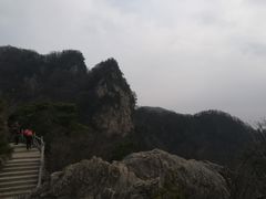 -王顺山国家森林公园