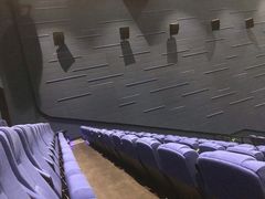 -春天国际影城(中庚漫游城杜比全景声店)