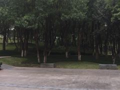 -重庆市江北嘴中央商务区中央公园