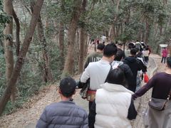 -灵顺寺