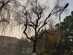 -西南交通大学(九里校区)