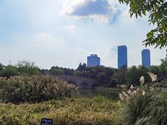 -尚贤河湿地