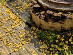 -四里河滨水生态公园