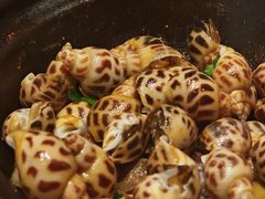 海螺-恭喜上堓砂锅焗·海鲜大排档(闵行龙湖店)