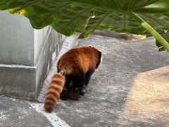 -昆明动物园