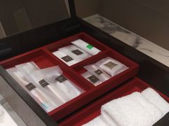 -新加坡瑞士史丹福酒店