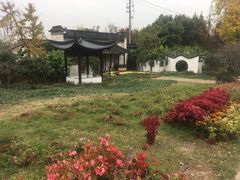 -苏州上方山国家森林公园